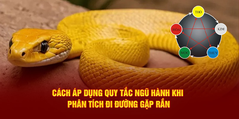 Cách áp dụng quy tắc ngũ hành khi phân tích đi đường gặp rắn