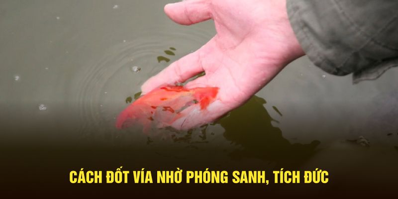 Cách đốt vía nhờ phóng sanh, tích đức