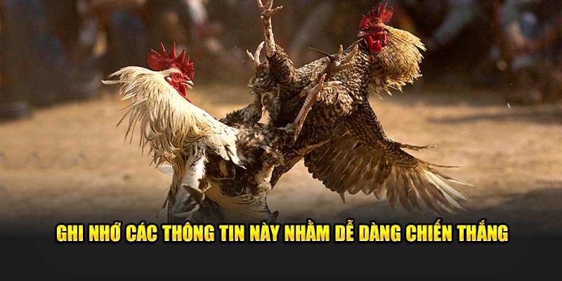 Ghi nhớ các thông tin này nhằm dễ dàng chiến thắng